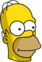 Ninja Homer