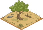 Shady Tree.png