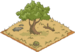 Shady Tree.png