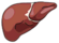 Ghost of Liver Past