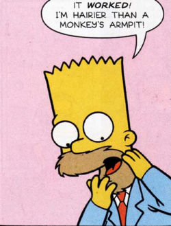 Bart's Beard.png